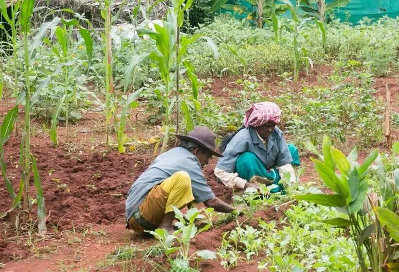 リゾートホテル Our Native Village