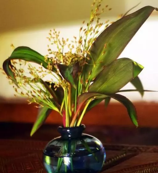 استراحتگاه Samaria Lodge