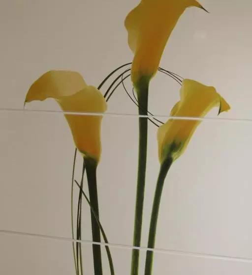 Aamiaismajoitus (B&B) Auberge De L'arc En Ciel