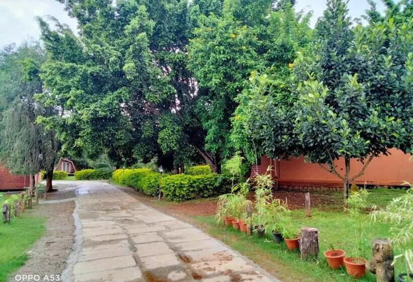 Kabini Lake View Resort