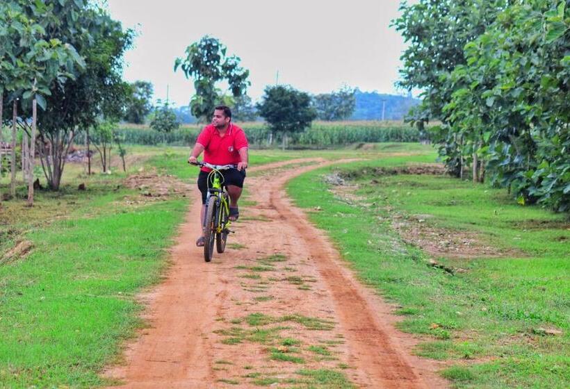 Kabini Lake View Resort