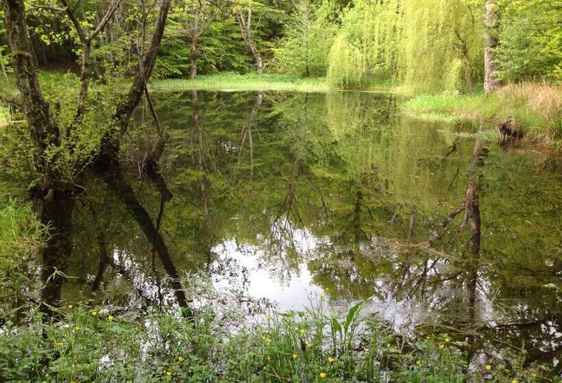 Kitka Hostel Vratnica