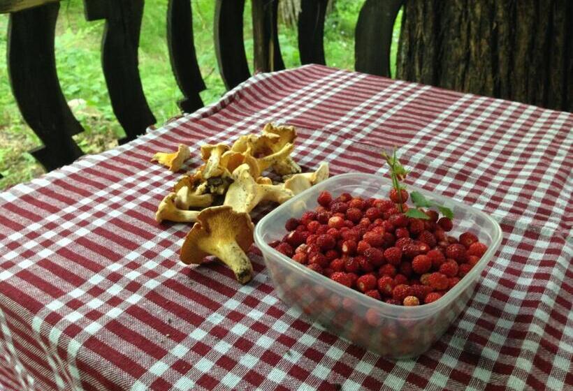 Kitka Hostel Vratnica