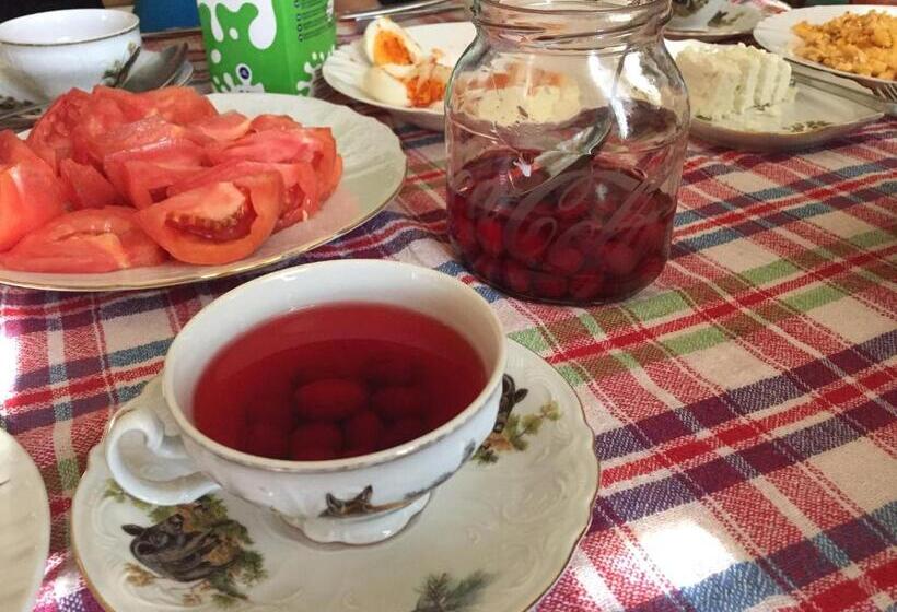 Kitka Hostel Vratnica