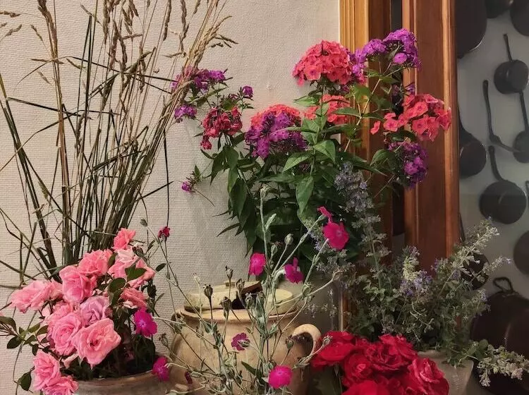 Sport Hotel Aparthotel De Milan