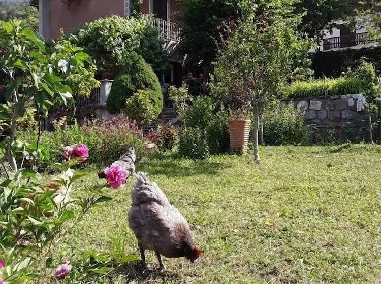 ベッドアンドブレックファースト A La Belle époque