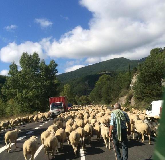 住宿加早餐  Chambres D Hôtes Ferme De Gayri