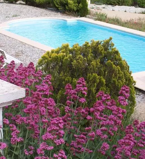 Bed and Breakfast L'ensoleillee