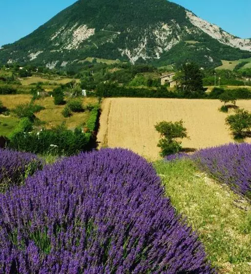 Bed and Breakfast L'ensoleillee