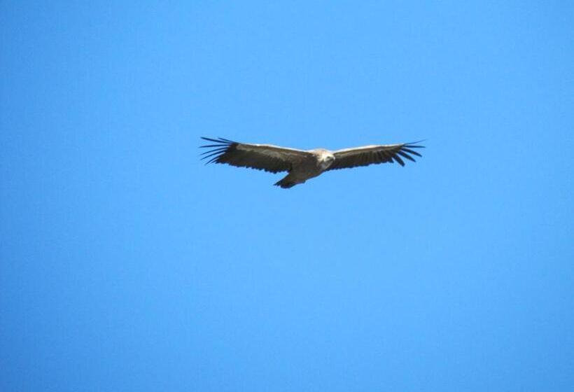 住宿加早餐  L'ensoleillee