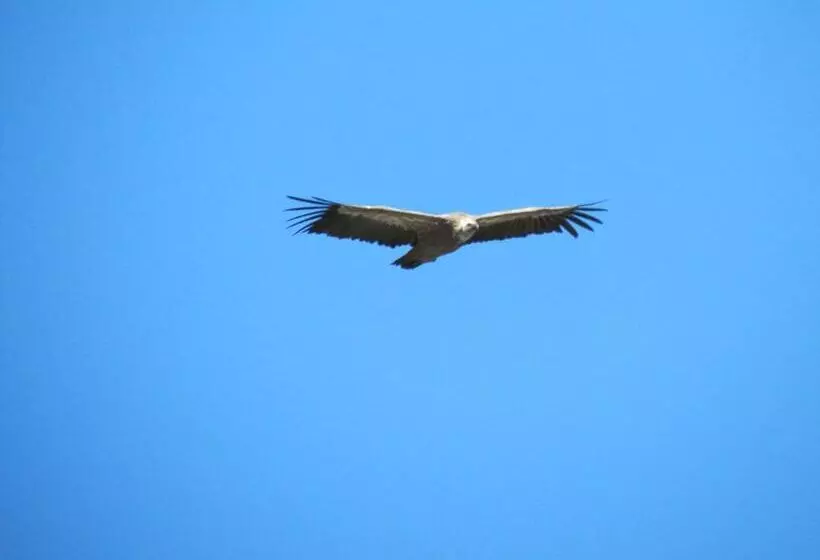 Bed and Breakfast L'ensoleillee