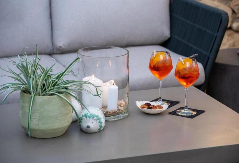 ホテル Domaine La Pierre Blanche