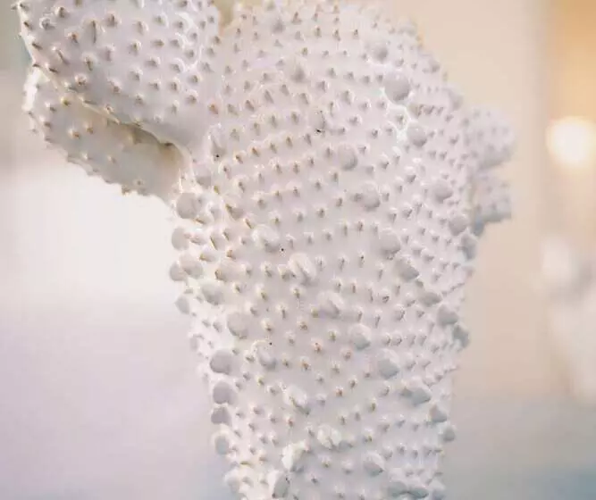 ベッドアンドブレックファースト Ca' De Tobia