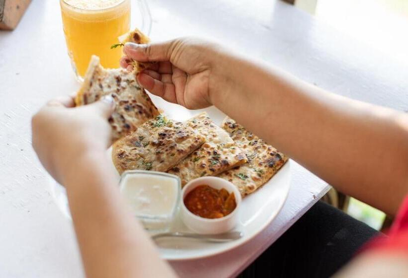 مبيت وإفطار Forget Me Not Resort