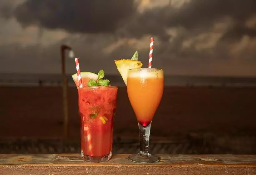 Aamiaismajoitus (B&B) Forget Me Not Resort