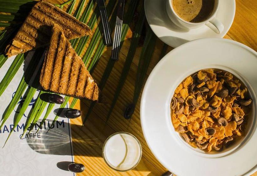 Harmonium Resorts Agonda