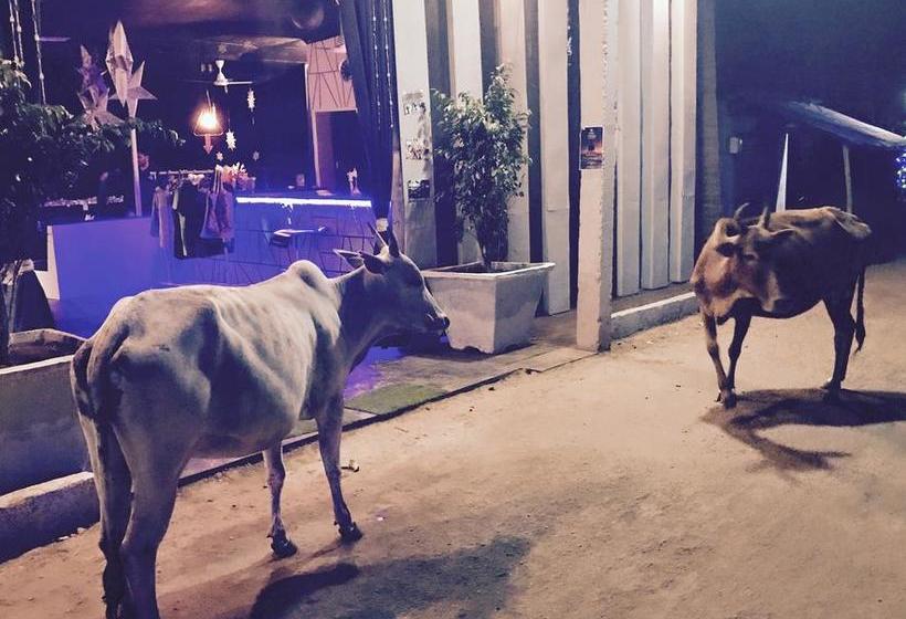 Harmonium Resorts Agonda