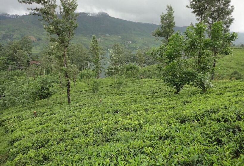 酒店 Castlereigh Holiday Bungalow