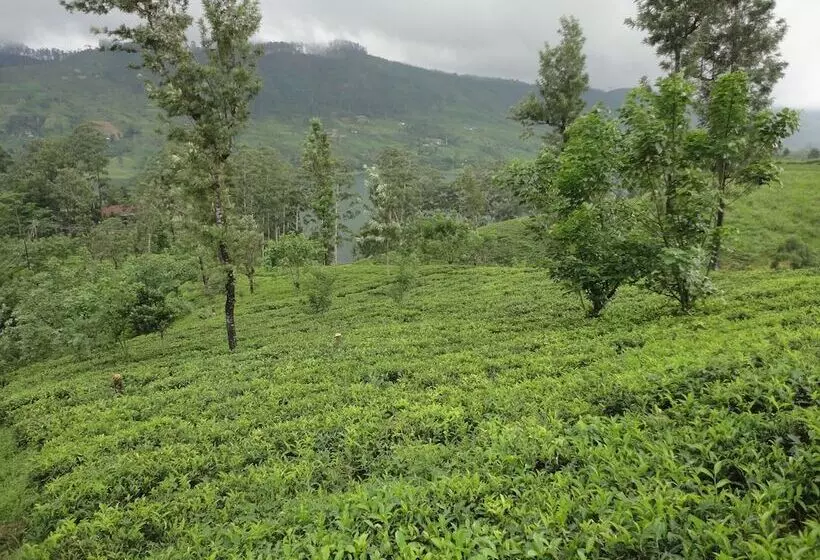 Hotelli Castlereigh Holiday Bungalow