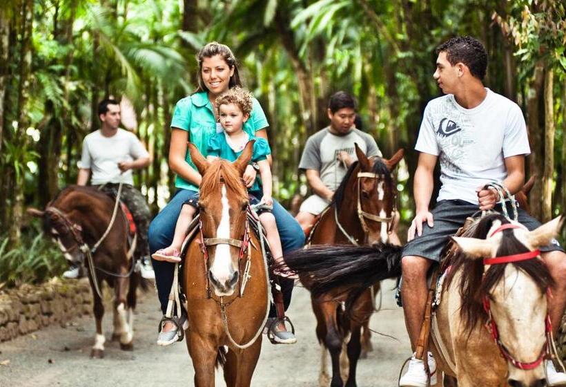 בית מלון כפרי Fazenda Vale Das Pedras