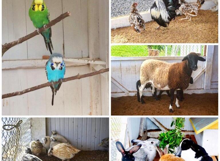 בית מלון כפרי Fazenda Vale Das Pedras