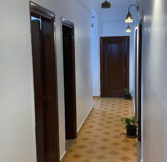 هتل Museum House Hostel