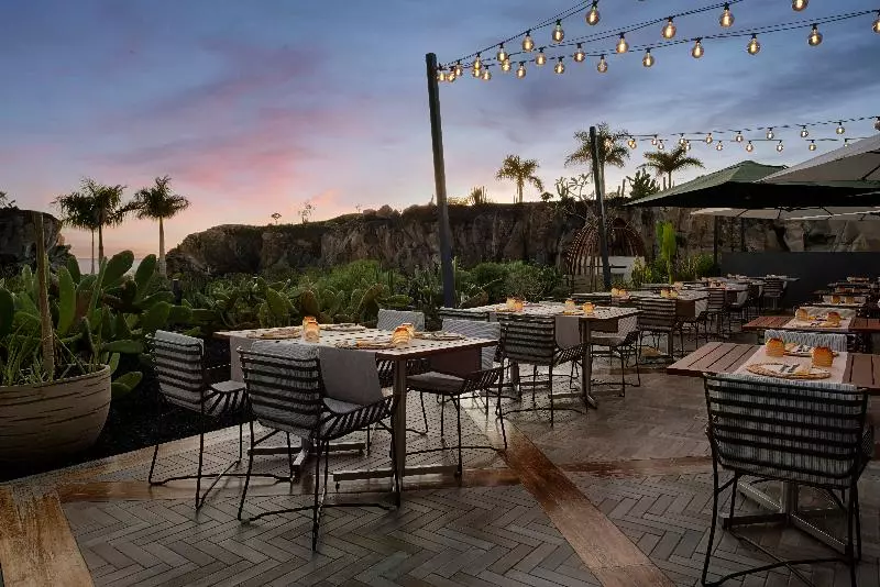 ホテル Royal Hideaway Corales Suites