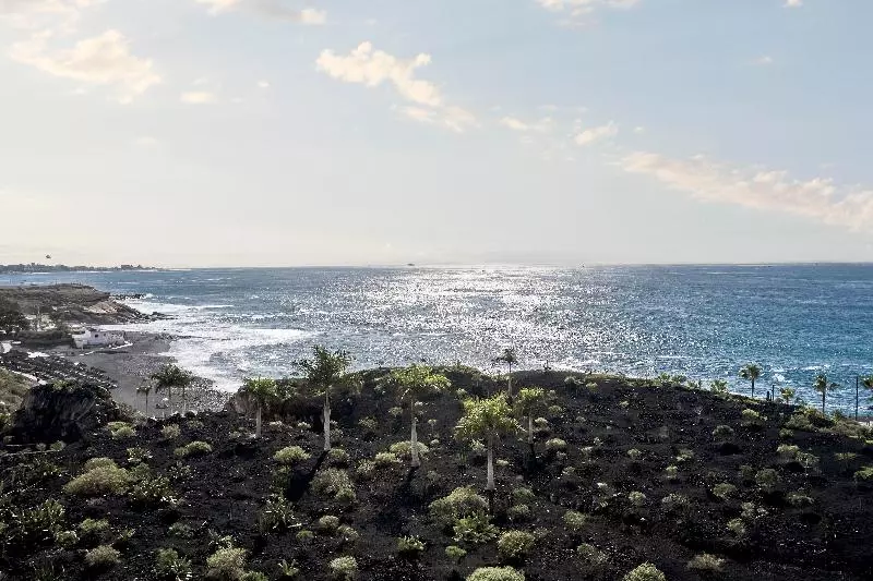 ホテル Royal Hideaway Corales Suites