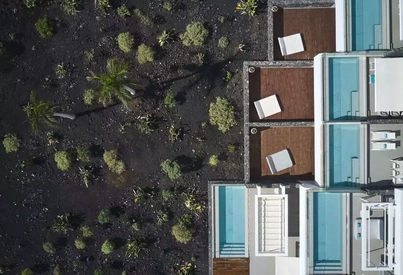 ホテル Royal Hideaway Corales Suites