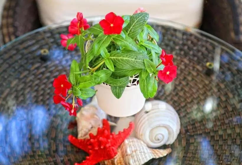 Sofo Hotel Dhermi