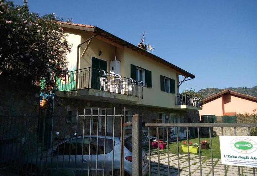 Bed and Breakfast L Erba Degli Abrighi