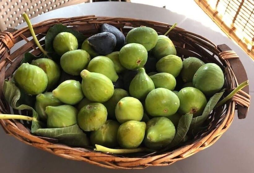 Bed and Breakfast La Volpe E L Uva