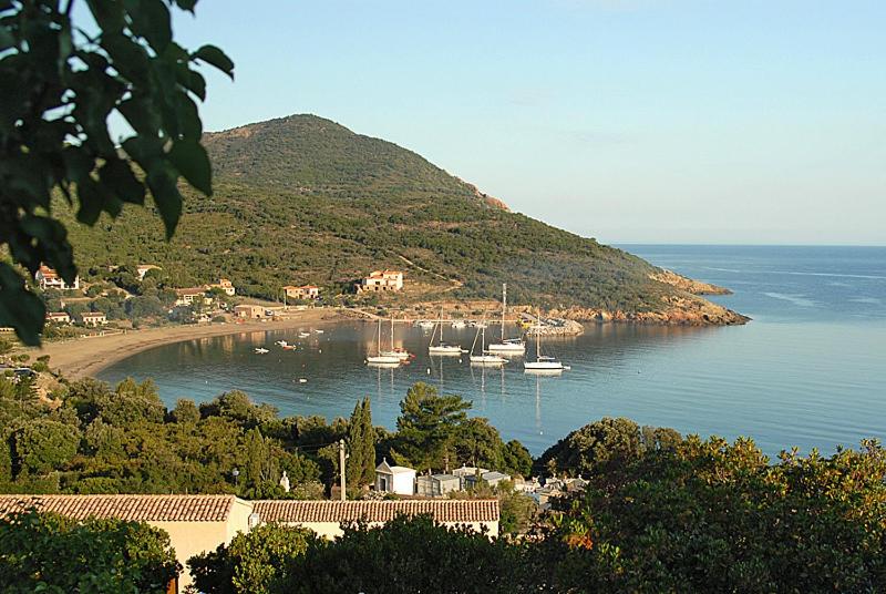 هتل Hôtel L'alivu