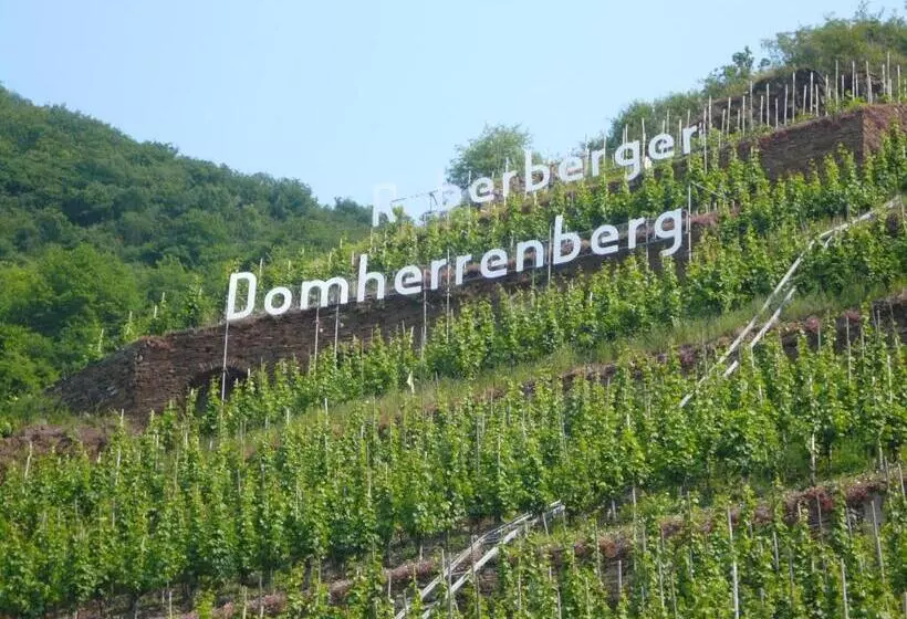 ホテル Mosel Landhaus B&b