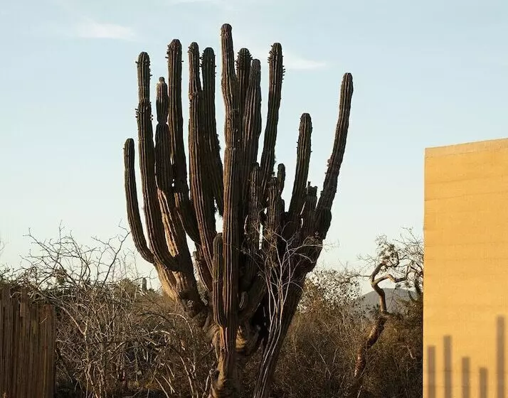 Salara Boutique Hotel & Villas Todos Santos