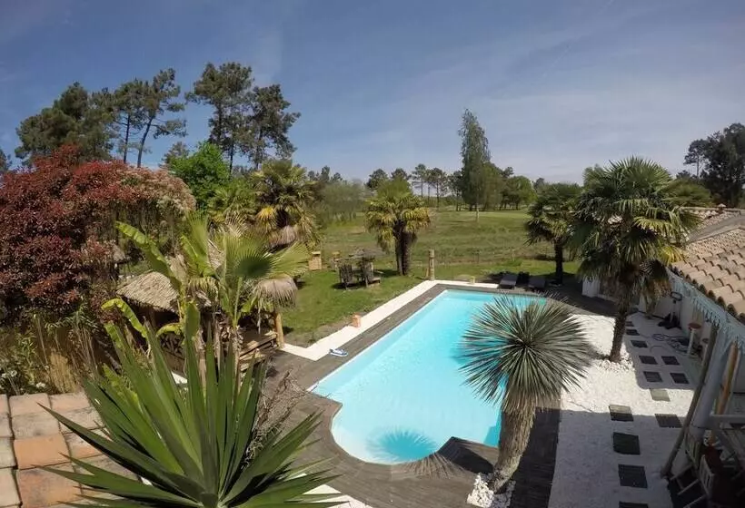 تختخواب و صبحانه Villa Caraîbes