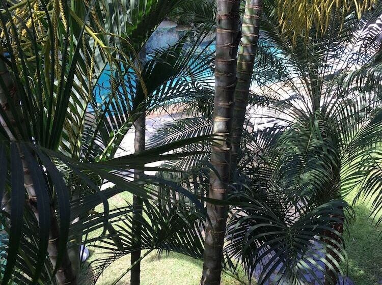 פונדק Apartotel Conchita