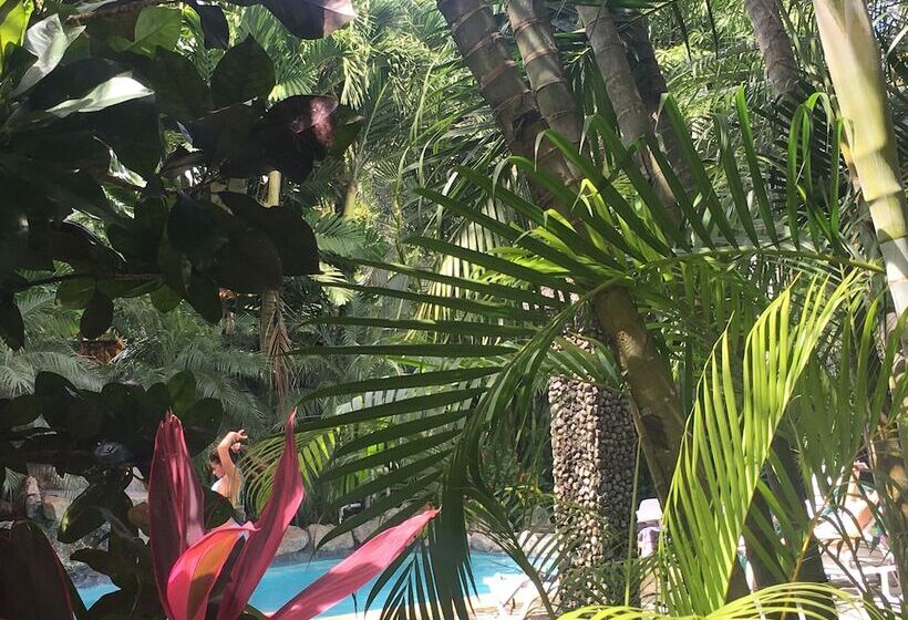 פונדק Apartotel Conchita