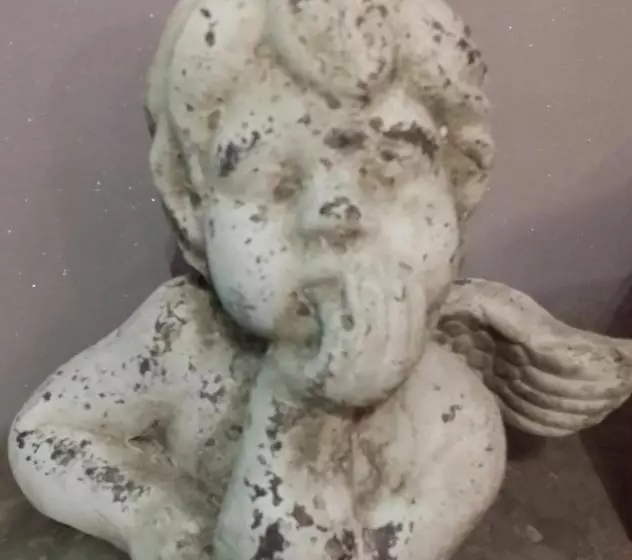 ホテル Hôtel Beausoleil