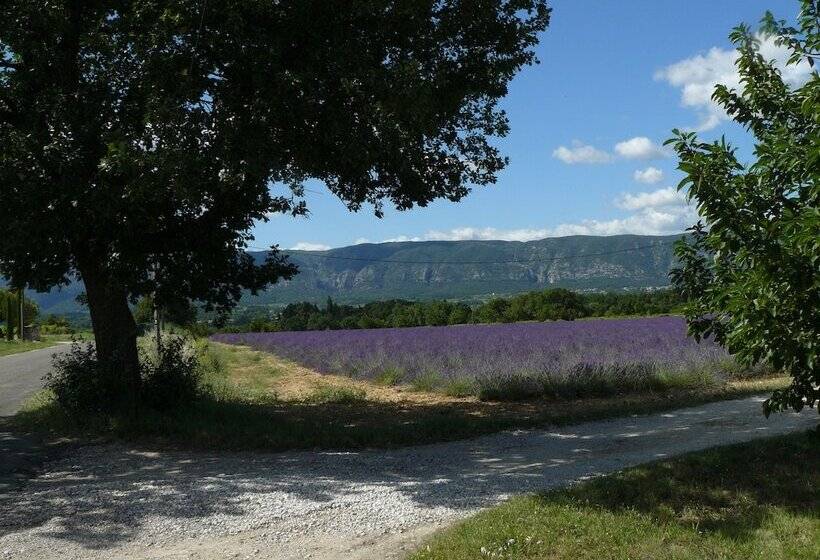 هتل Le Mas Des Etoiles   Luberon B&b