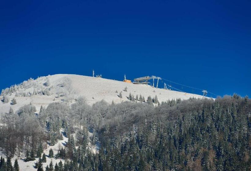 בית מלון כפרי Villa Gloria Rooms & Apartments