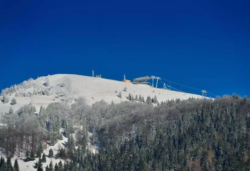 Hotelli Villa Gloria Rooms & Apartments