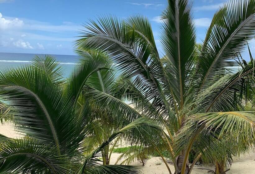 Rarotonga Villas