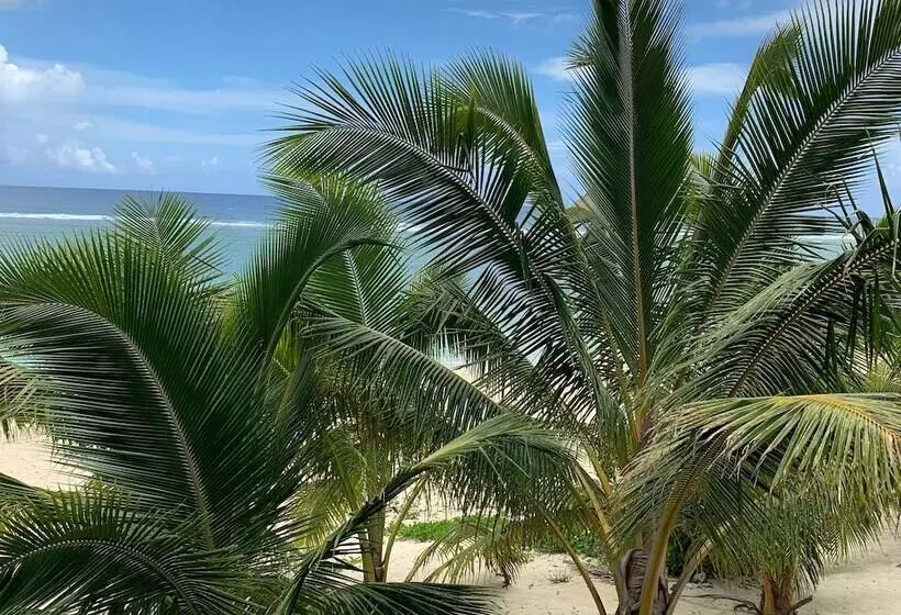 Rarotonga Villas