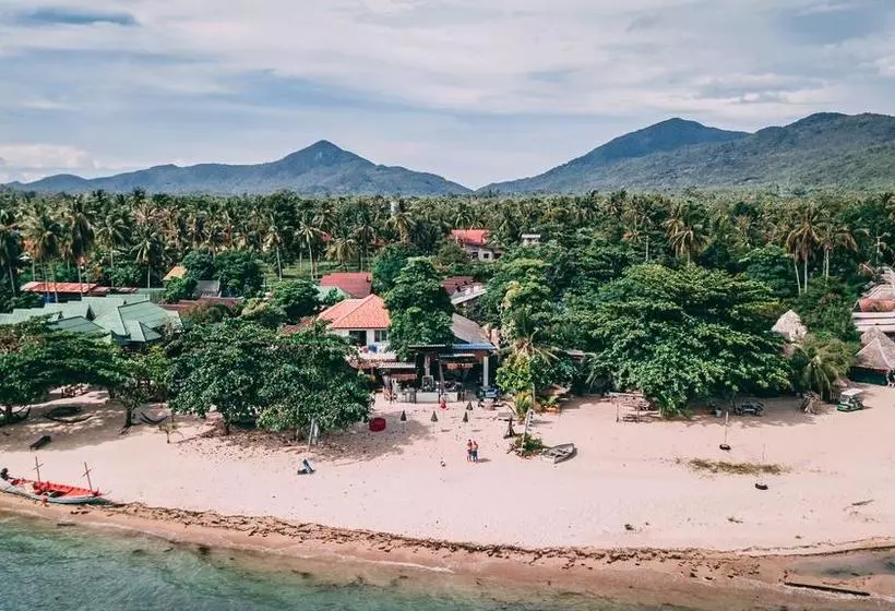 Dancing Elephant Beach Club   Hostel