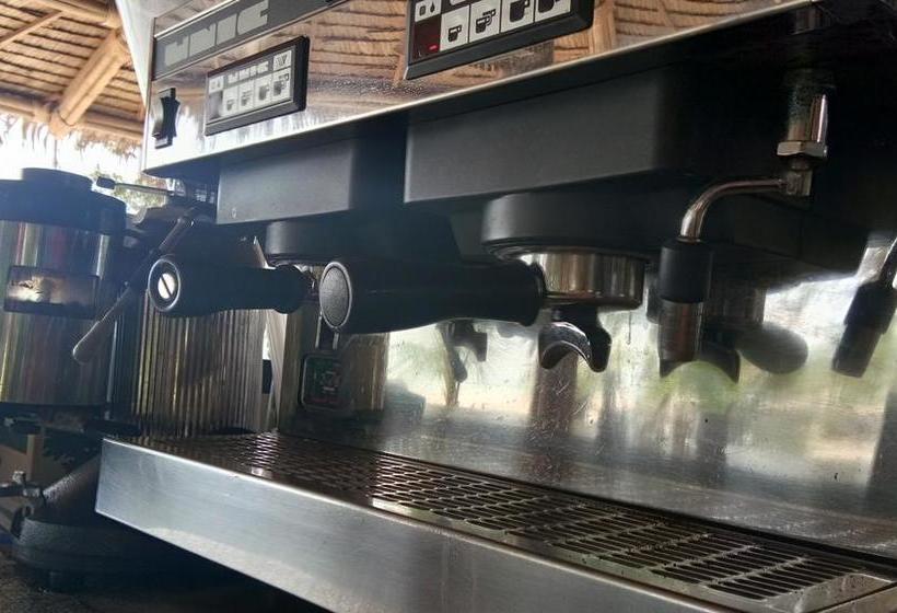 Dancing Elephant Beach Club   Hostel