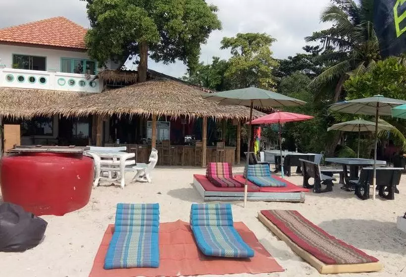 Dancing Elephant Beach Club   Hostel