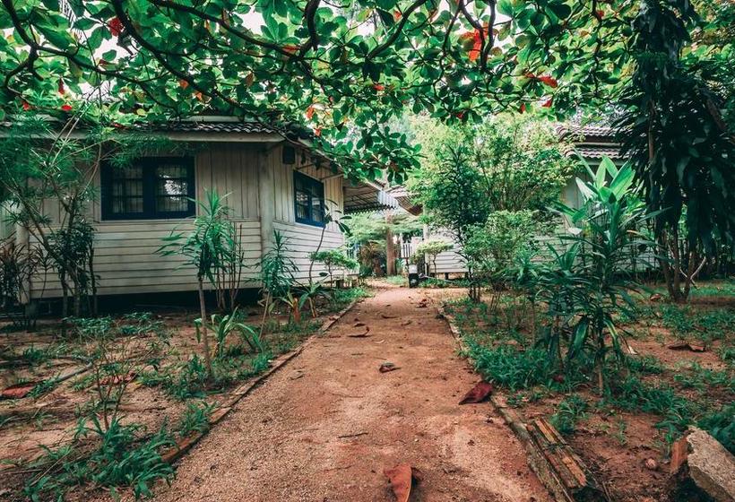 Dancing Elephant Beach Club   Hostel
