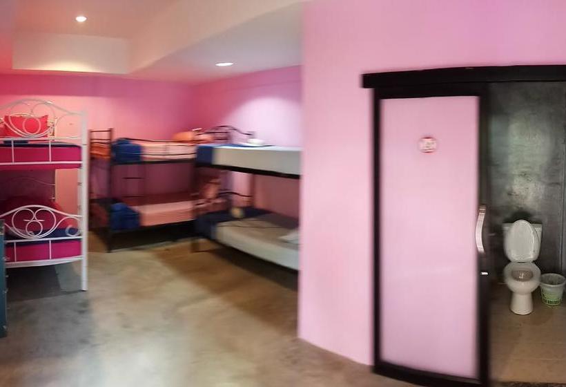 Dancing Elephant Beach Club   Hostel