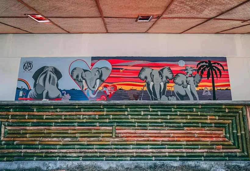 Dancing Elephant Beach Club   Hostel